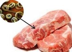 Parasiten