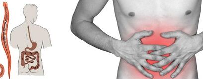 Symptome von Parasiten im menschlichen Körper