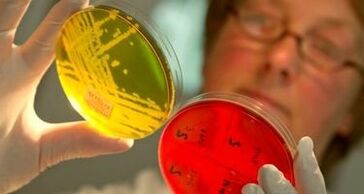 Diagnose von Parasiten im Körper